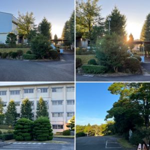 朝日が差し込む松高の景色 愛知県立松平高等学校
